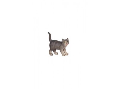 Katze stehend color, RA
